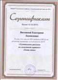 Сертификат о показе  на методическом объединении НОД по речевому развитию для педагогов ДОУ